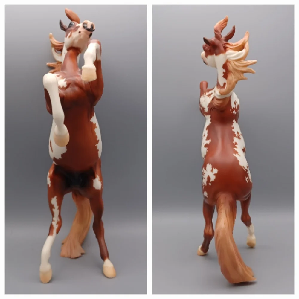Breyer Hidalgo - Picture 11 of 16